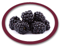 concentrated blackberry juice suppliers usa