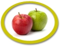 apple juice concentrate suppliers usa