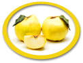 concentrated quince juice suppliers usa