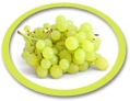concentrated white grape juice suppliers usa